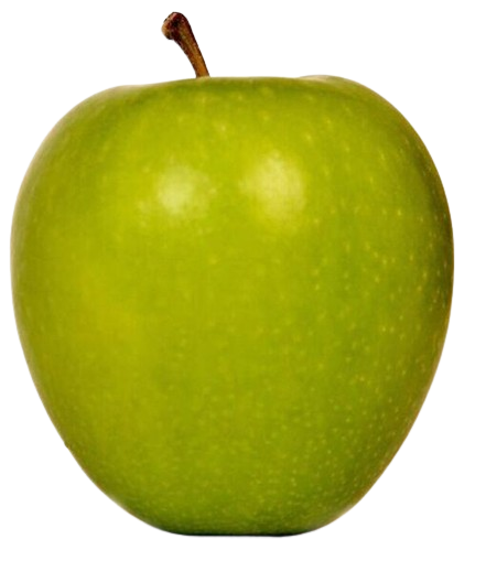 Fresh Green Apple — AGS Import and Export