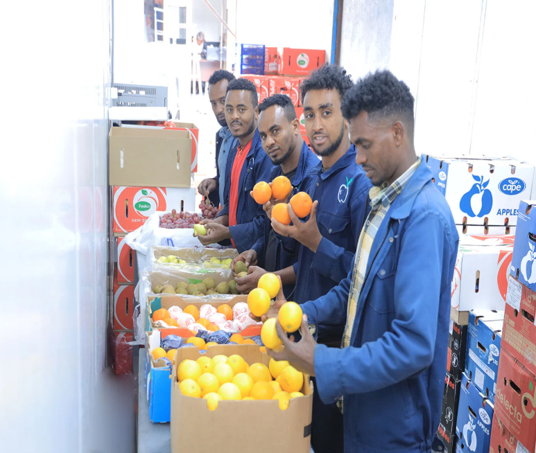 Working Staff