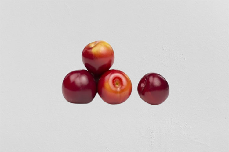 ags-carousel-plums1